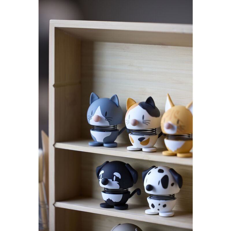 Orange Tabby Hoptimist