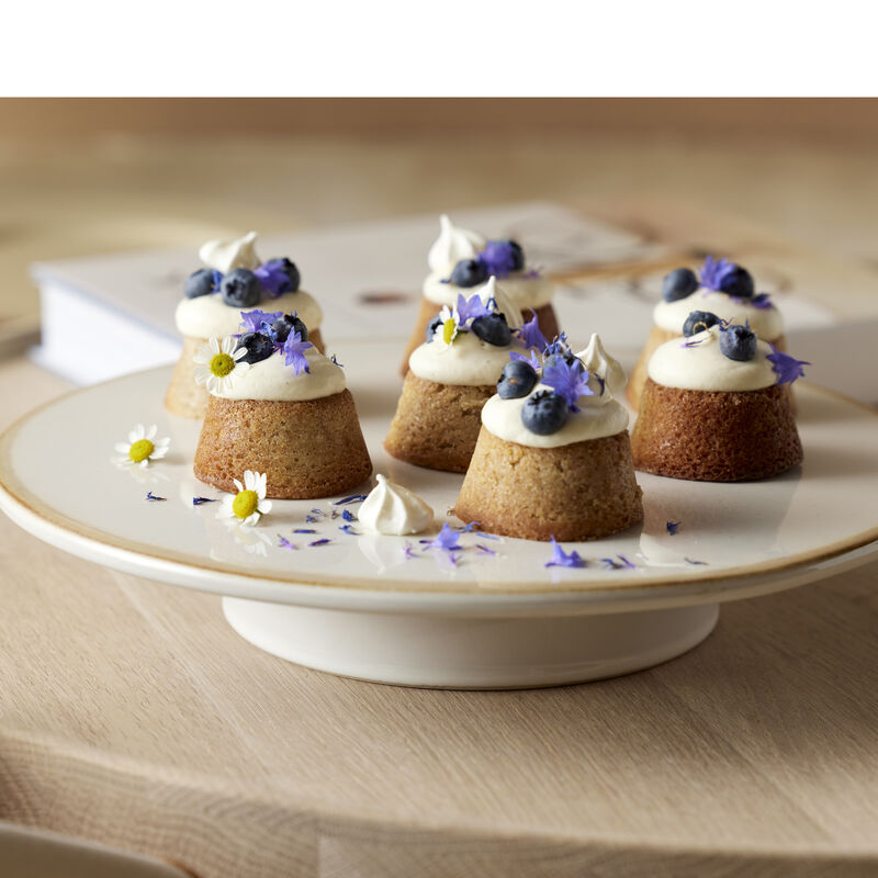 Gastro Pr&eacute;sentoir g&acirc;teaux